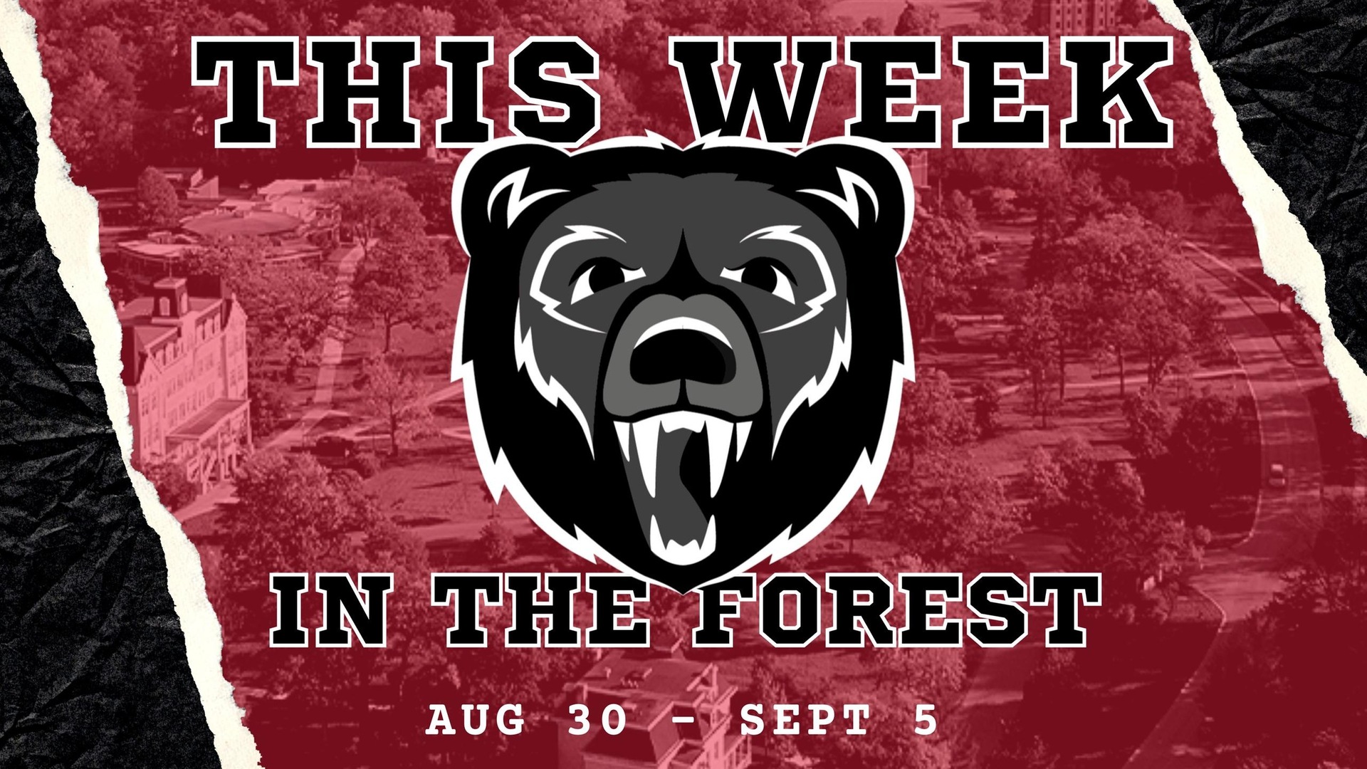 This Week in the Forest Aug 30-Sept 5