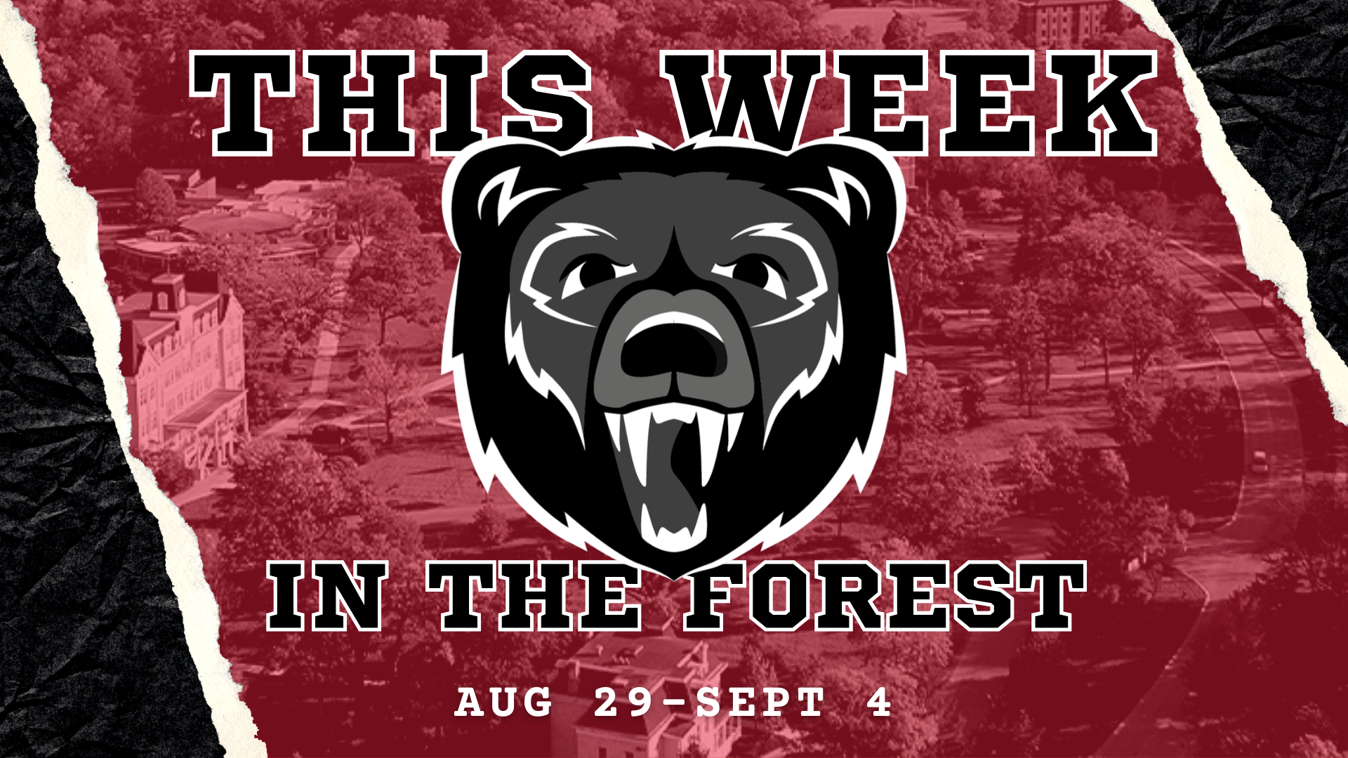 This Week in the Forest: Aug 29 - Sept 4
