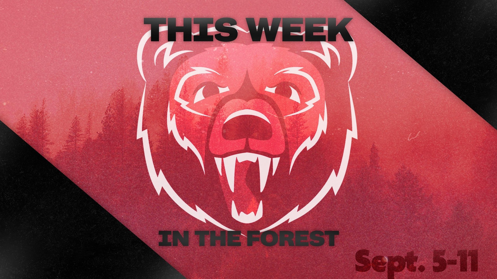 This Week in the Forest: Sept. 5-11