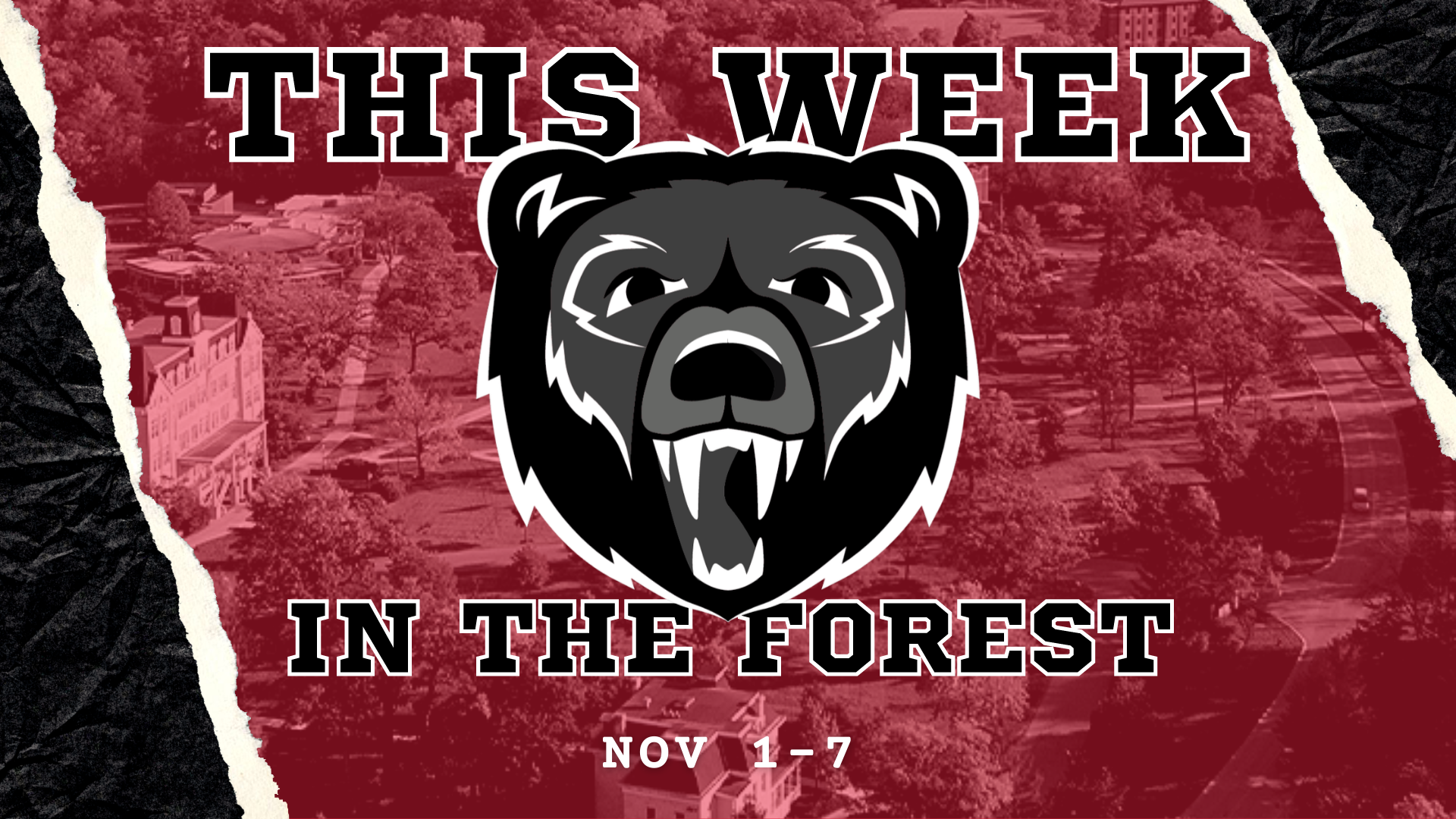 This Week in the Forest: Nov. 1-7