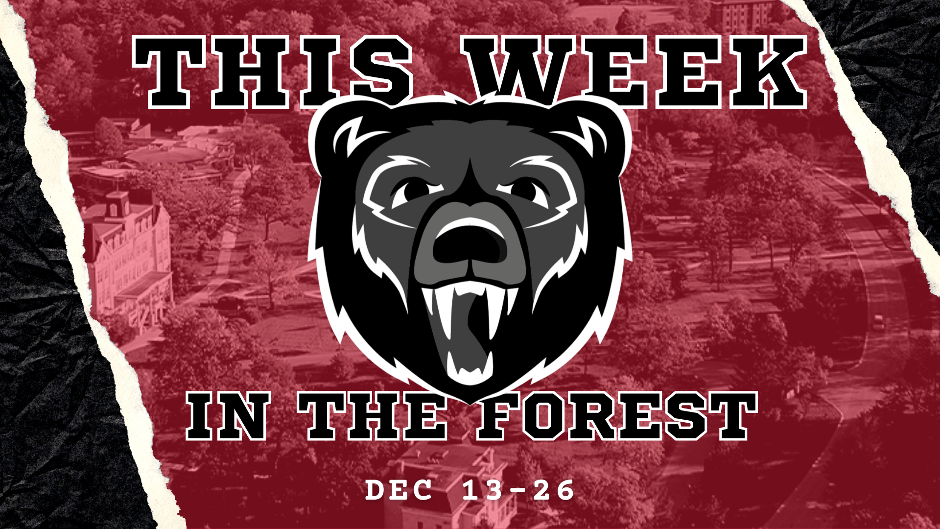 Two Weeks in the Forest: Dec. 13-26