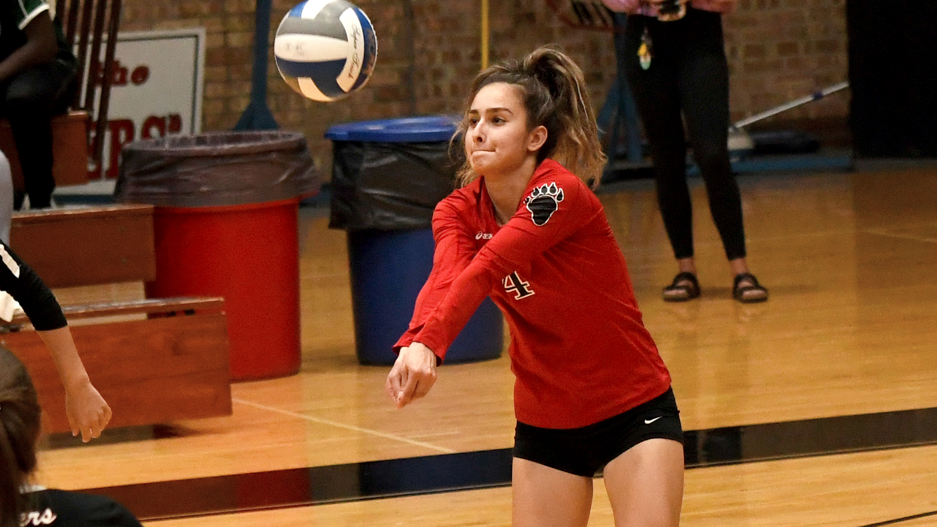 Foresters Fall in Five at Wheaton