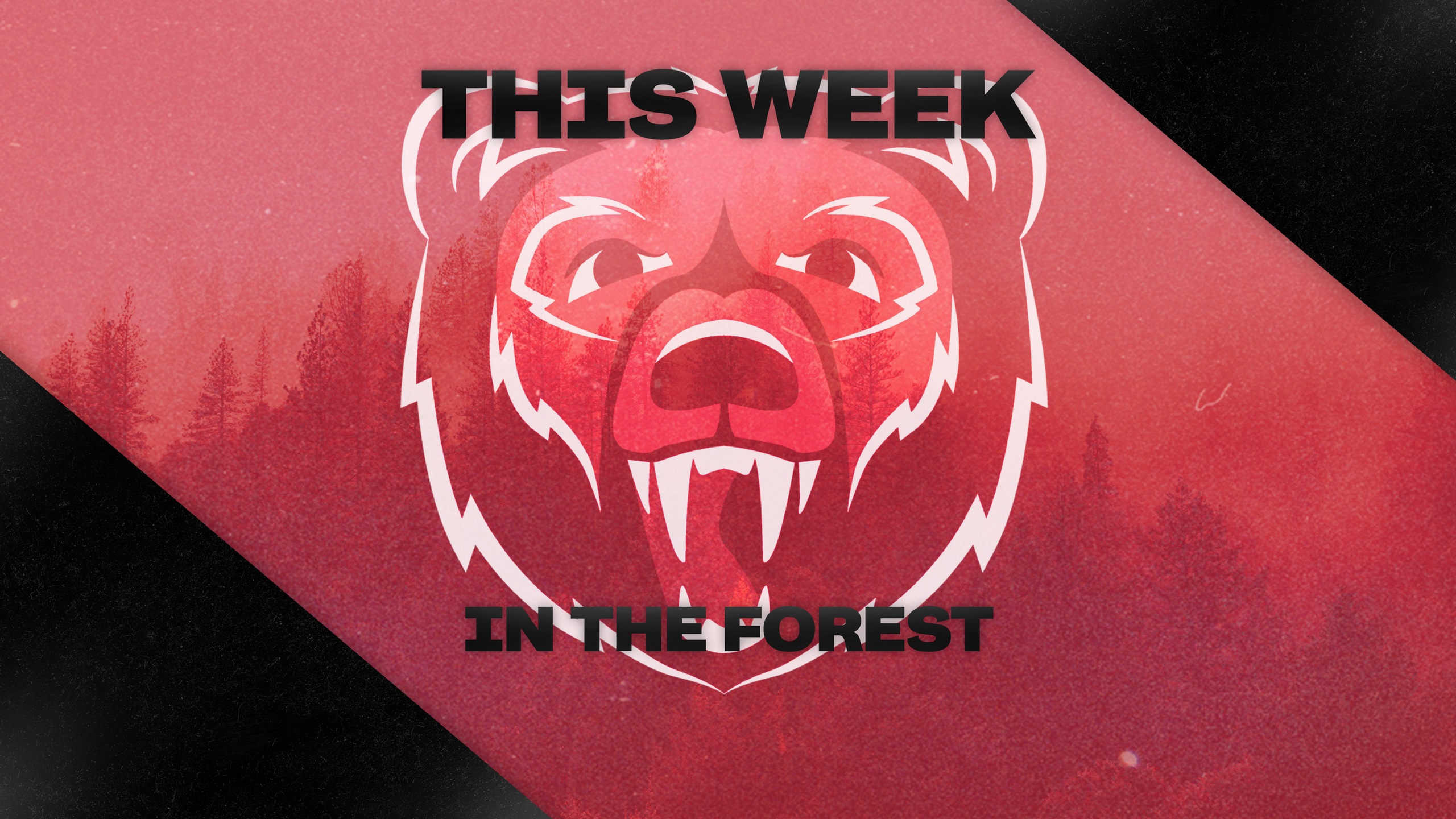 This Week in the Forest